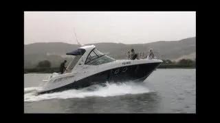 Катер Sea Ray Sundancer 355