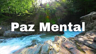 Music to Relax and Reassure | Reduces Anxiety | Relaxing Sounds of Nature