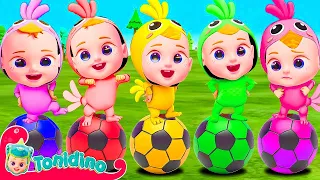 The chicken dance | color ball Finger Family | Nursery Rhymes & Kids Songs