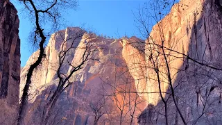 📹 4K HDR 60FPS | 🚶 Riverside Walk Full Hike | 🌋 Zion National Park | 🇺🇸 United States