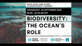 Biodiversity: The Ocean's Role