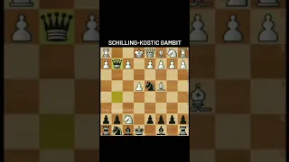 Italian Game | Schilling Kostic Gambit | CheckMate | #chess