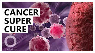 Cancer: Immune discovery could treat many cancers  - TomoNews