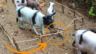 Fazendinha de brinquedo | as vacas holandesas escaparam!