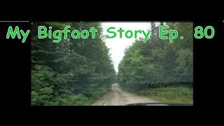 My Bigfoot Story Ep. 80 - A Drive Through The Canadian Wilderness