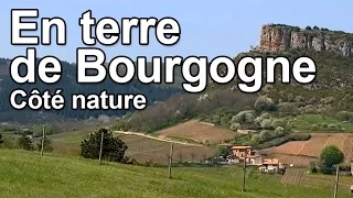 En terre de Bourgogne - Côté Nature