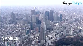 [Tokyo Footage] Tokyo Aerial | 空から見た東京（空撮）（Tokyo Japan）