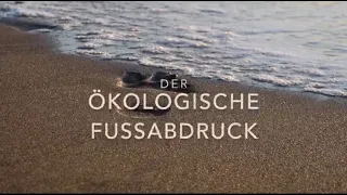 Dein Ökologischer Fußabdruck