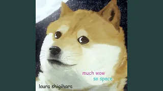 much wow, so space