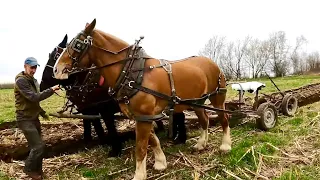 WHEN THINGS GO BADLY 😱 // Plowing the Corn Field & Exciting News!