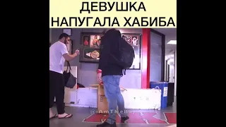 Напугала Хабиб #Shorts