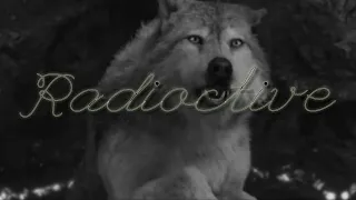 Twilight Wolves-Radioactive