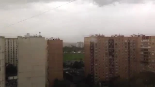 Ветер вырывает с корнем деревья в Москве