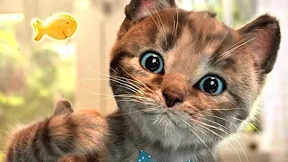 CUTE LITTLE KITTEN ADVENTURE - FUNNY KITTY & FRIENDS ADVENTUROUS JOURNEY CARTOON VIDEO #915