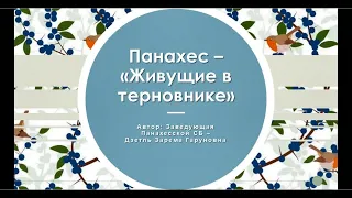 Панахес - «Живущие в терновнике». Панахесская СМБ