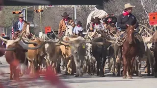 Sights and sounds from SA's Western Heritage Cattle Drive