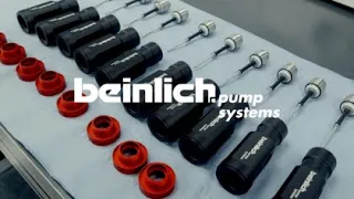 Beinlich pumps: tradition meets innovation