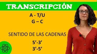 Ejercicios de TRANSCRIPCIÓN genética (RESUELTOS)