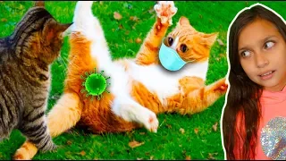 СМЕШНЫЕ 😻КОТЫ на КАРАНТИНЕ! СОБАКИ. СИДИМ ДОМА! НЕ ЗАСМЕЙСЯ ЧЕЛЛЕНДЖ! Funny Cats Реакции Валеришка