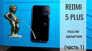 REDMI 5 PLUS после воды не включается (часть 1)