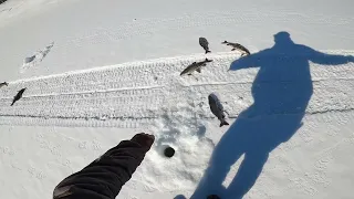 Жаркая рыбалка. Fishing на любимой реке,день первый.