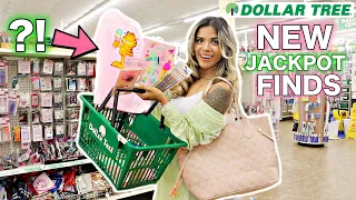 *AMAZING* DOLLAR TREE NEW FINDS SHOPPING SPREE! $500 BUDGET