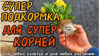 САМОЕ ЛУЧШЕЕ УДОБРЕНИЕ ДЛЯ КОРНЕЙ.❗️Супер корень за 3-4 дня❗️ ДЛЯ ЛЮБЫХ КУЛЬТУР, НА ЛЮБЫЕ СЛУЧАИ.