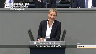 Best of Alice Weidel