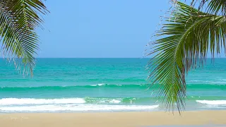 12 Hours of Ocean Sounds on Tropical Beach for Relax, Sleep, Meditation, Focus