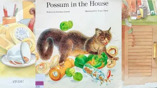 Possum In The House - Kids Story Time