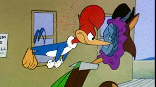 Woody Outsmarts A Fox | Woody Woodpecker