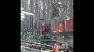 Idaho Logging - TimberPro Feller Buncher and Quadco Intermittent Saw