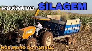 PUXANDO SILAGEM PRO MEU VIZINHO