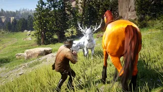 RDR 2 | BEAUTIFUL FOX HORSE AND ARABIAN CUSTOM HORSE CAUGHT | ARTHUR MORGAN