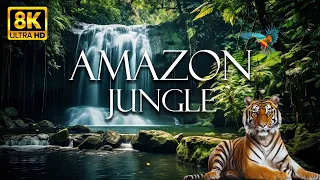 African Jungle 4K - Animals That Call The Jungle Home | Scenic Relaxation Film