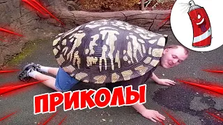 ЗАСМЕЯЛСЯ - ПОДПИСАЛСЯ! | FUNNY MOMENTS 2023 | 622 СЕКУНДЫ СМЕХА! | #292