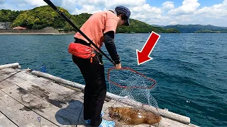 Catching a Ridiculously Huge Squid and Cooking Calamari!