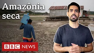 Os fatores para a seca dramática que está atingindo os rios da Amazônia