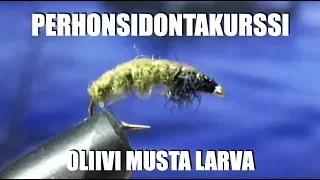 Oliivi Musta Larva - Perhonsidonta - Perhonsidontakurssi - Eumer - Perhokalastus