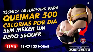 A Técnica de Harvard para queimar 500 calorias por dia sem mexer um dedo