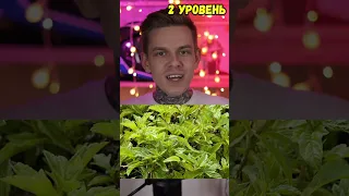 НАЙДИ ЖИВОТНЫХ ТЕСТ