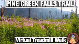 City Walks -  Pine Creek Montana Summer Calming Virtual Treadmill Nature Walk - 4K Water Fall