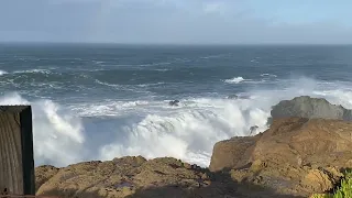 Sonoma Coast ~ Duncans Landing 3