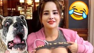 Funny Animals video🤣2022 - Best Funny Cat's And Dog's😻🐶 - Try not laugh
