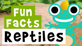 Reptiles 🐍🐢 🐊 - Cartoon Fun Facts  - Animals for Kids - Educational Video