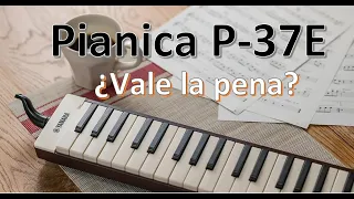 Pianica p37E ¿Vale la pena? Review - Comparación con P37ERD (Español)