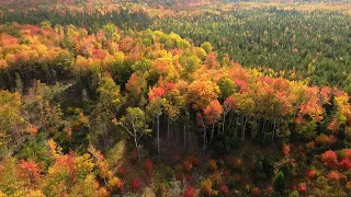Fall Colors 2021 - Prince Edward Island, Canada