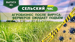Агробизнес после вируса Фермеров ожидает подъем  Сельский час #3 Игорь Абакумов