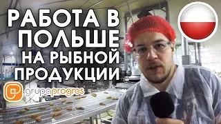 💲Польша. Работа на рыбе. Кошалин. плюсы и минусы