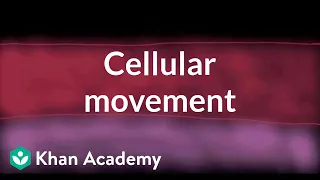 Cellular movement | Cells | MCAT | Khan Academy